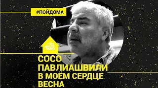 Сосо Павлиашвили - В Моём Сердце Весна (проект Авторадио "Пой Дома") LIVE