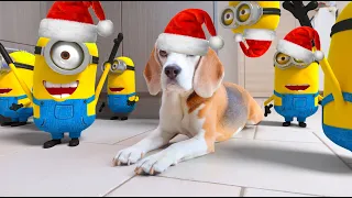 Funny Dogs vs Minion in REAL LIFE Animation Christmas Compilation! Must see! #6