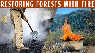 Restoring Forests With Fire - A Permaculture Approach