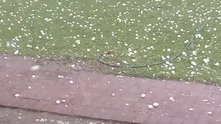 Pietermaritzburg hail Storm New Years eve 2024