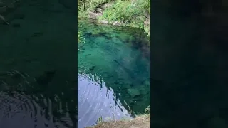 Secret swimming hole in my backyard In New Zealand