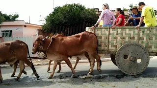 CARROS DE BOI