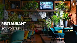 Restaurant Ambient Sound Effect | Ambient Restaurant Noise | Audio Clips | Clean Sound Clips