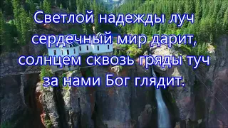 Ветви крутых дорог