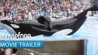 'Blackfish' Trailer | Moviefone