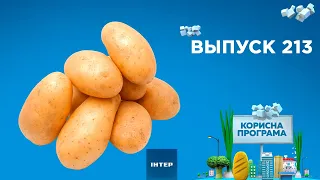 Как выбрать качественный картофель | «ПОЛЕЗНАЯ ПРОГРАММА». Выпуск 213 — 19.05.21