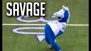 NFL Funniest Mascot Moments || HD