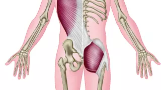 Posterior oblique sling exercise