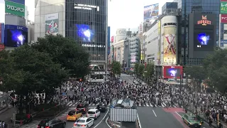 Shibuya Crossing - 90 seconds #StayHome #WithMe