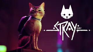 Stray Gameplay (Part 1)