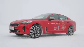 0903 ТЕСТ драйв Kia Stinger с Сергеем Карякиным