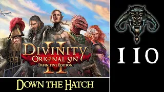 Divinity - Original Sin II #110: Down The Hatch