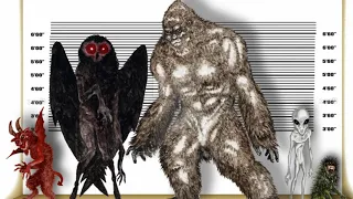 Cryptozoology (DC Uknown Podcast)