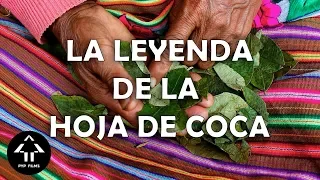 LA LEYENDA DE LA HOJA DE COCA