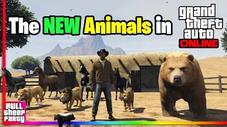 All New Animals in GTA Online (that I've been able to find so far) GTA 5 Online Chop Shop DLC Update