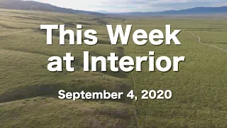 This Week at Interior September 4, 2020