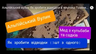 Альпійський вулик Як зробити відводки в альпійці Травневий мед Альпієць рулить