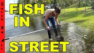 FISHING in THE STREET! Catching EXOTIC Fish in HURRICANE FLOODING!