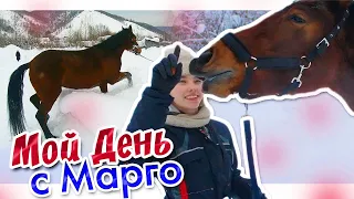 МОЙ ДЕНЬ С ЛОШАДЬЮ / Работа в руках с Марго | KonoVLOG