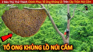 2 Báo Thủ Thử Thách Chinh Phục Tổ Ong Khủng Lồ Trên Cây Thần Núi Cấm || Review Giải Trí Đời Sống