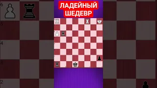 💥МАЛЕНЬКАЯ ДА УДАЛЕНЬКАЯ #chesspuzzle #шахматы #шахматныезадачи #chess