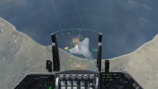 DCS: He bet he would win the dogfight...