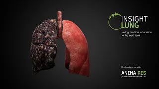 INSIGHT LUNG - The human lung expedition