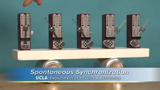 Kuramoto Model of spontaneous Synchronisation