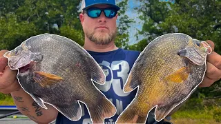 TROPHY BLUEGILL Fishing With LIVE CRICKETS 🏆MONSTER TEXAS BLUEGILL‼️