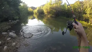 Pêche à vue | carpe sur du matériel light