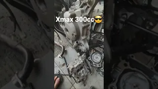 xmax bore up