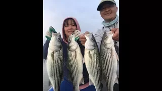 California delta more jerk bait Striper