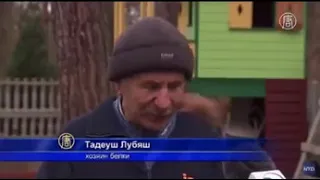 Мужчина спас белку , и теперь она не уходит