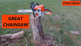 A Great Chainsaw - Stihl MS250