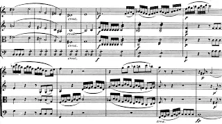 Beethoven: String Quartet no. 9 in C major, op. 59 no. 3
