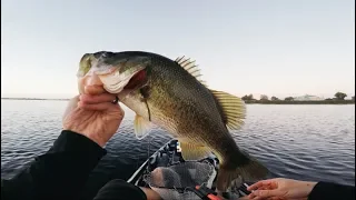 CA DELTA jerkbaitin' in the middle of FRANKS TRACT