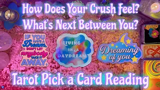 💗Your Crush! Their Current Feelings + What's Next Between You?💗 Tarot Pick a Card Love Reading