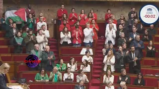 Caron attaque les macronistes une députée sort un drapeau à l'assemblée