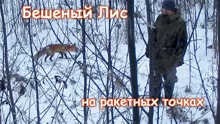 Бешеный лис на ракетных точках