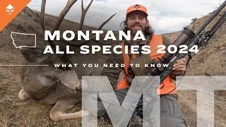 How to Go Hunting in Montana | Everything You Need to Know ( Deer & Elk Application )