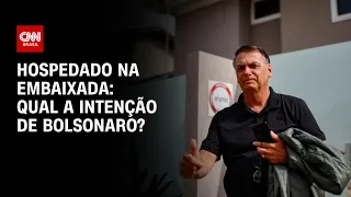 Cardozo e Coppolla debatem qual a intenção de Bolsonaro hospedado na embaixada | O GRANDE DEBATE
