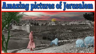 Extreemly Rare pictures of Jerusalem revealed! See How the Holy City have changed!