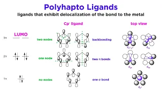 More Complex Ligands in Organometallic Chemistry