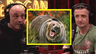 Joe Rogan: GRIZZLY Bears are MONSTERS!