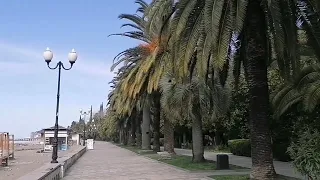 Абхазия...Старая Гагра...🌴🌴🌴...