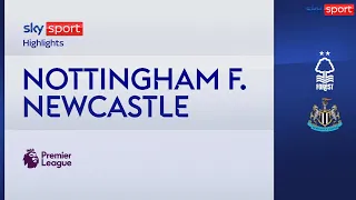 Nottingham-Newcastle 2-3: gol e highlights | Premier League
