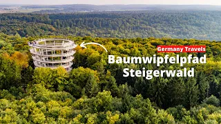 Baumwipfelpfad Steigerwald [Bavaria] [4K] | Tree Top Walk