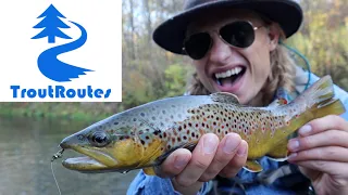 FLY FISHING THE DRIFTLESS REGION: Does TroutRoutes really work?? (South Bear Creek, Decorah, Iowa)