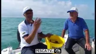 Marco VOLPI spiega COME PESCARE i POLPI a scarroccio in barca: esche, dove andare, trucchi | PescaTV