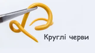 Круглі черви